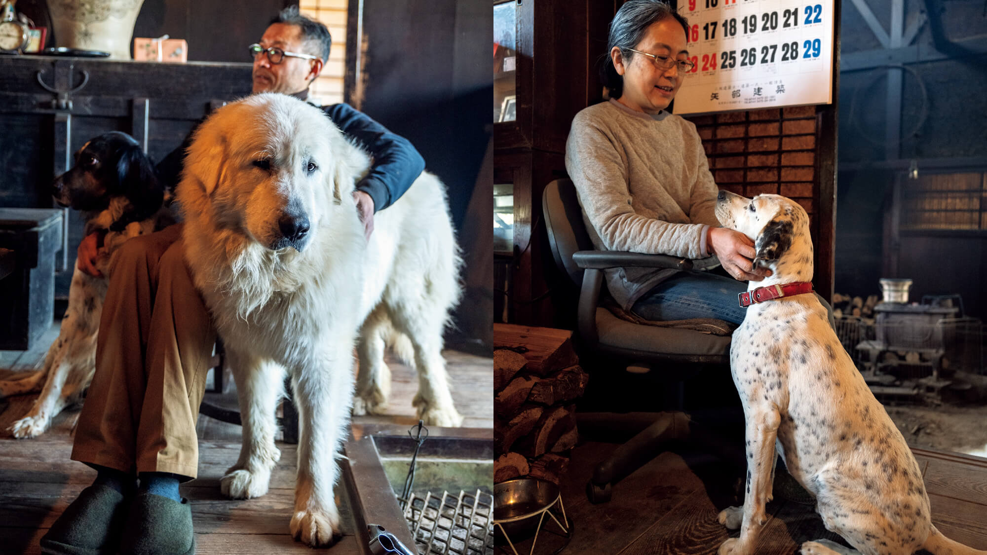 陶芸家・高仲健一が、4頭の犬との山暮らしで学んだこと | ブルータス