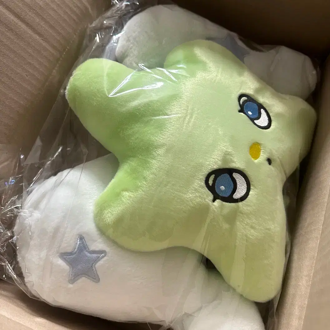 NCT Wish Wichu Cushion Transfer on Bunjang Global Site.