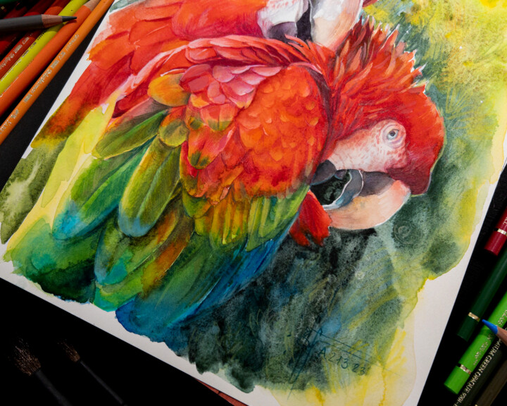 Ara De Parс Phoenix