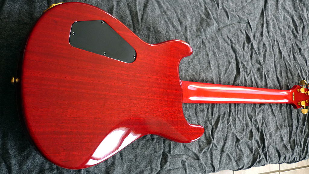 APG-100 - Fernandes APG-100 - Audiofanzine