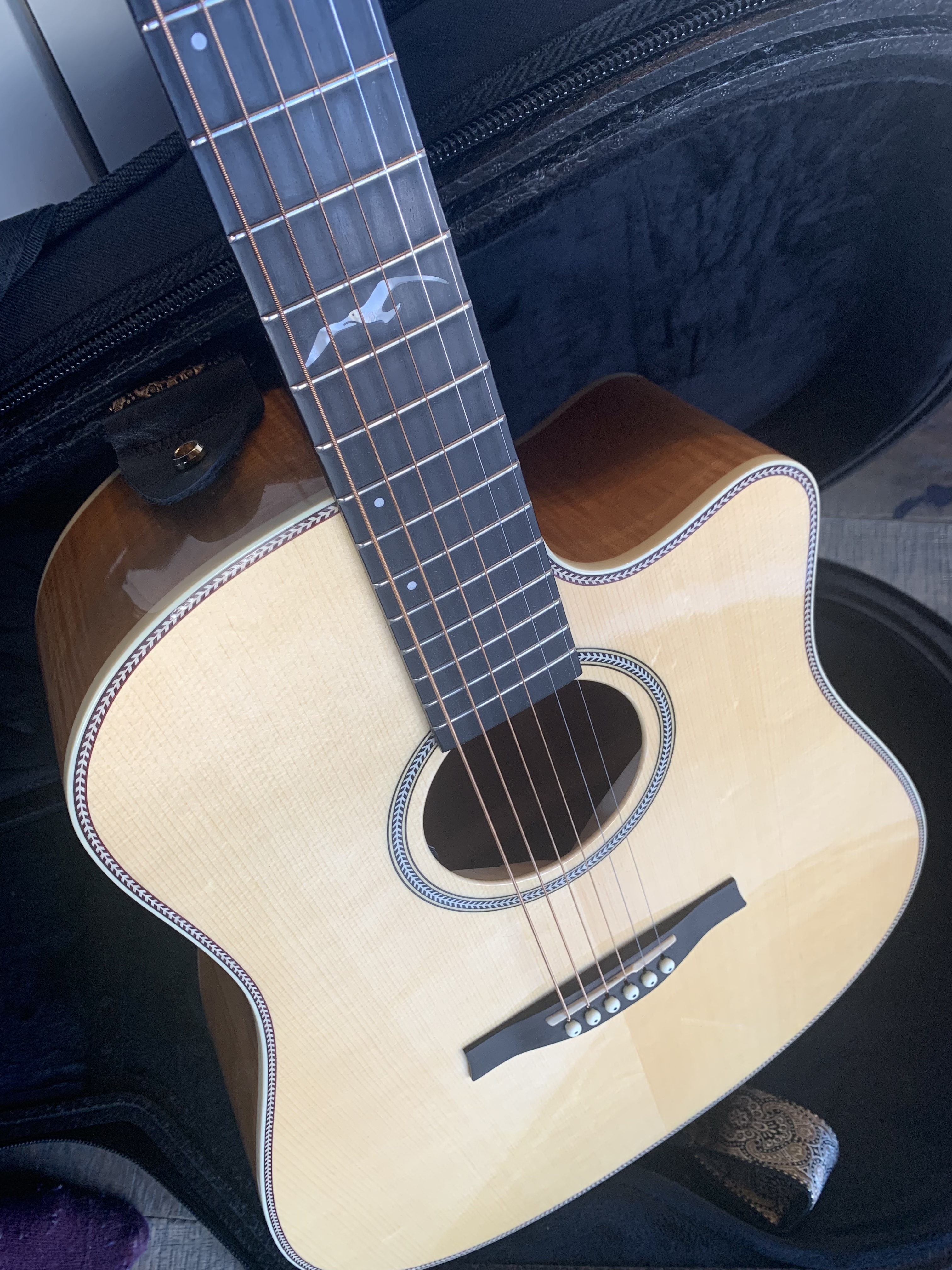 Artist Cameo CW QII - Seagull Artist Cameo CW QII - Audiofanzine