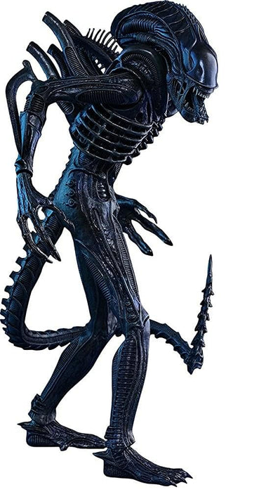 Aliens Alien Warrior 1:6 Scale Collectible Figure | Free Shipping