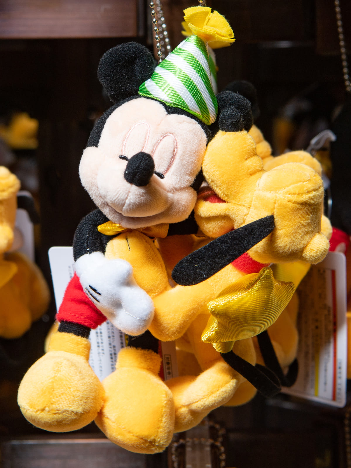 愛犬プルートもお祝い！東京ディズニーランド ミッキー＆ミニー2021お