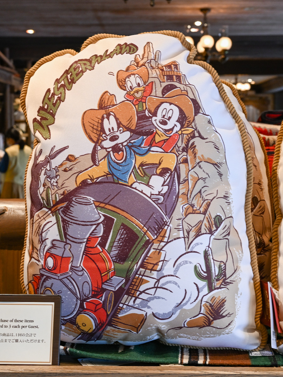 ビッグサンダー・マウンテンデザイン！東京ディズニーランド