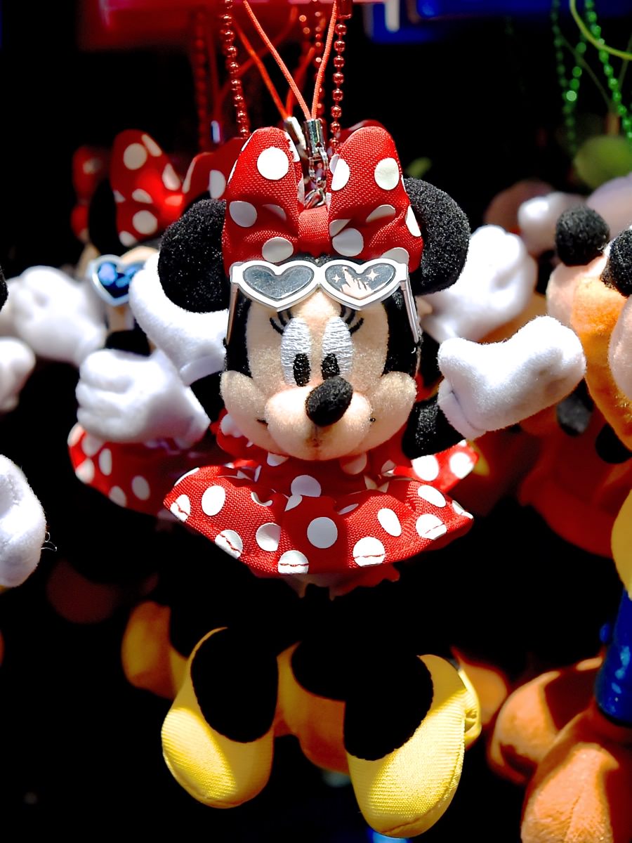 夏にぴったりなサングラス姿☆ディズニーランド