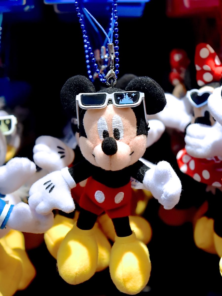 夏にぴったりなサングラス姿☆ディズニーランド