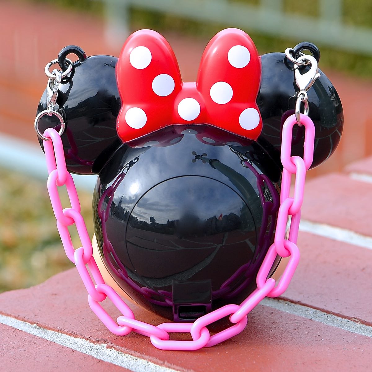 待望のミッキー・ミニー・プーさんが登場！東京ディズニーランド ミニ