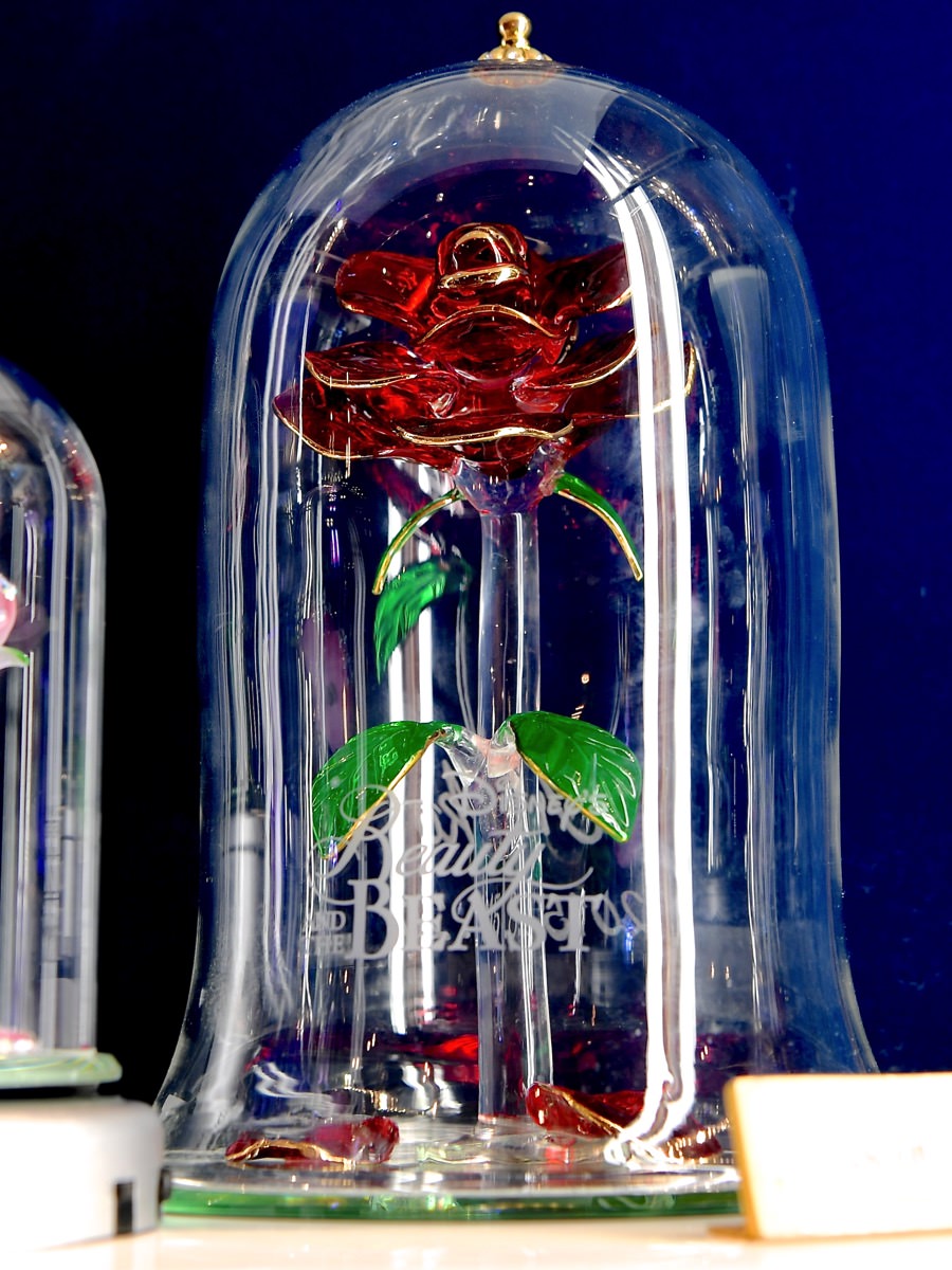 まるで芸術品のようなローズドームも！東京ディズニーランド『美女と