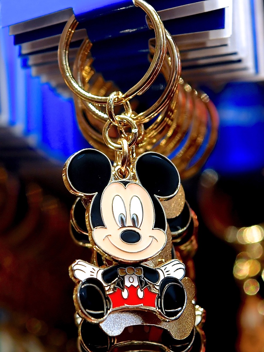 ゆらゆら揺れる！東京ディズニーランド キャラクターキーチェーン -