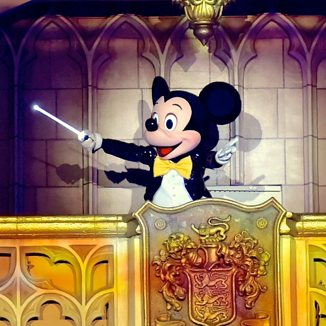 ミッキーと一緒に東京ディズニーランドの旅を！ナイトタイム