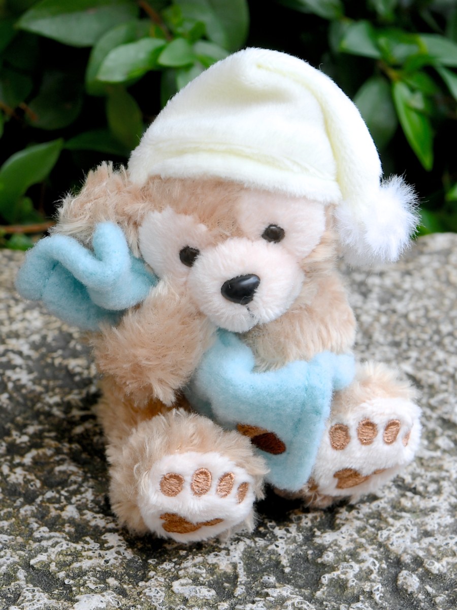 ダッフィー＆フレンズのパジャマパーティー！東京ディズニーシー