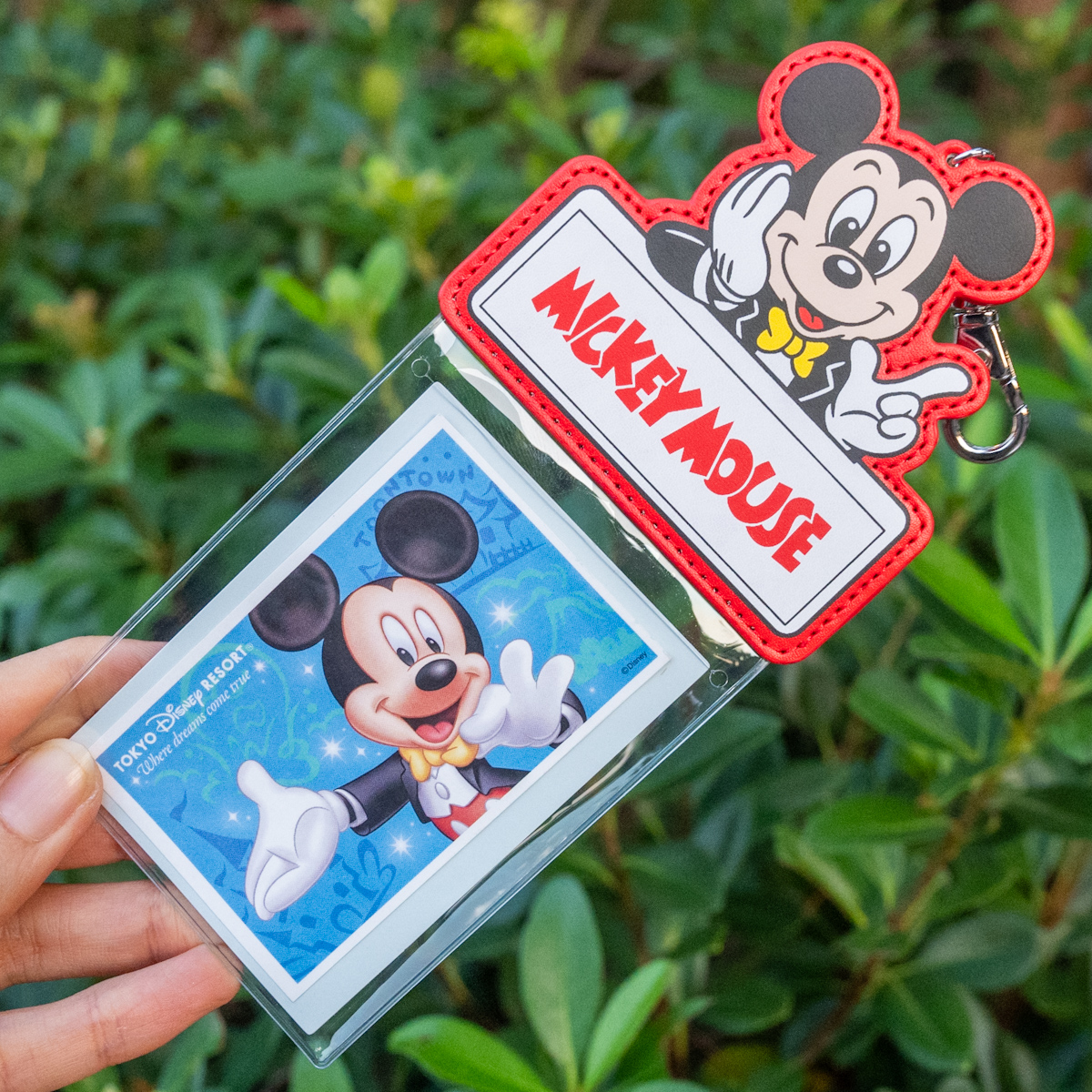 ミッキー、ミニー、ドナルドデザイン！東京ディズニーランド