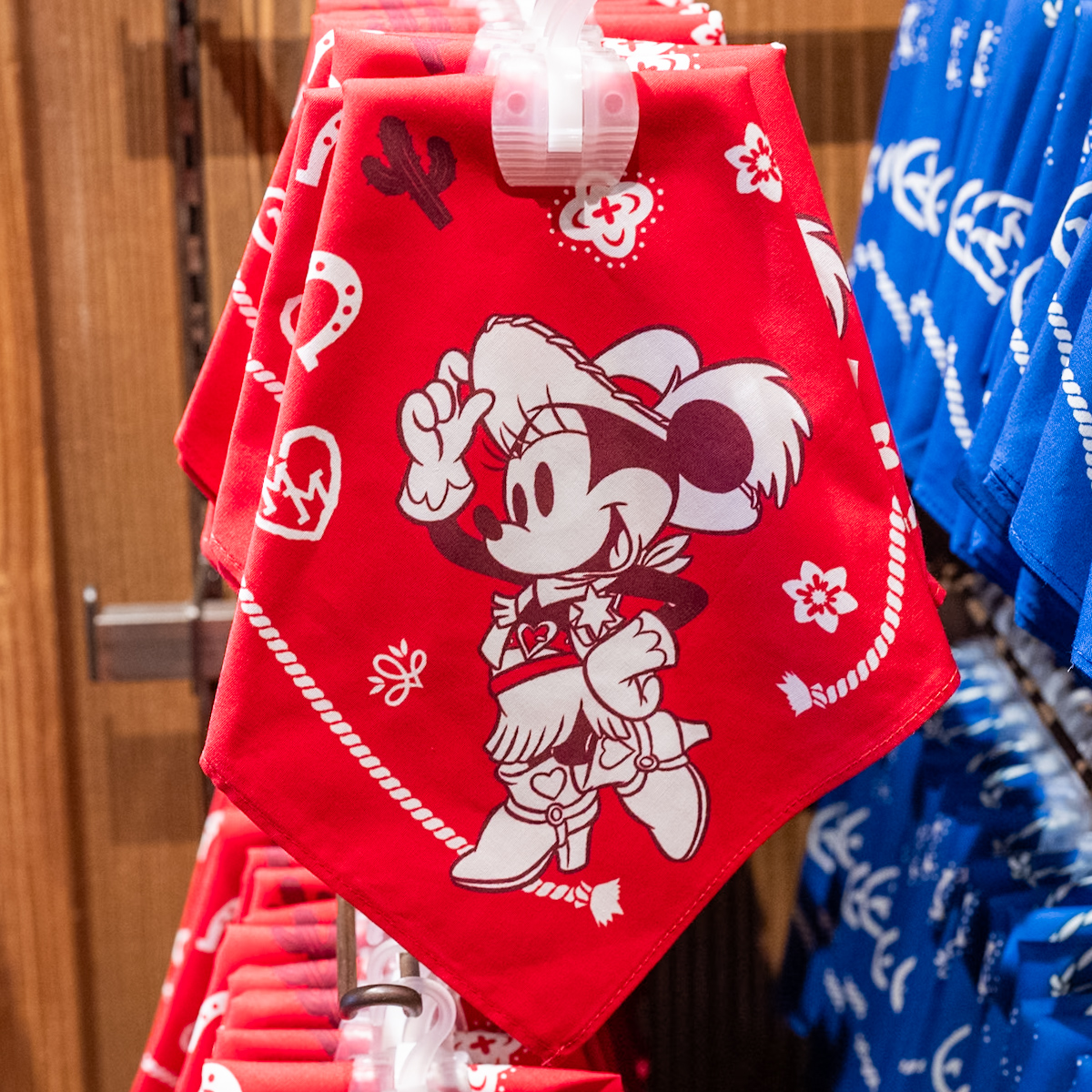 ミッキー、ミニー、ドナルドデザイン！東京ディズニーランド