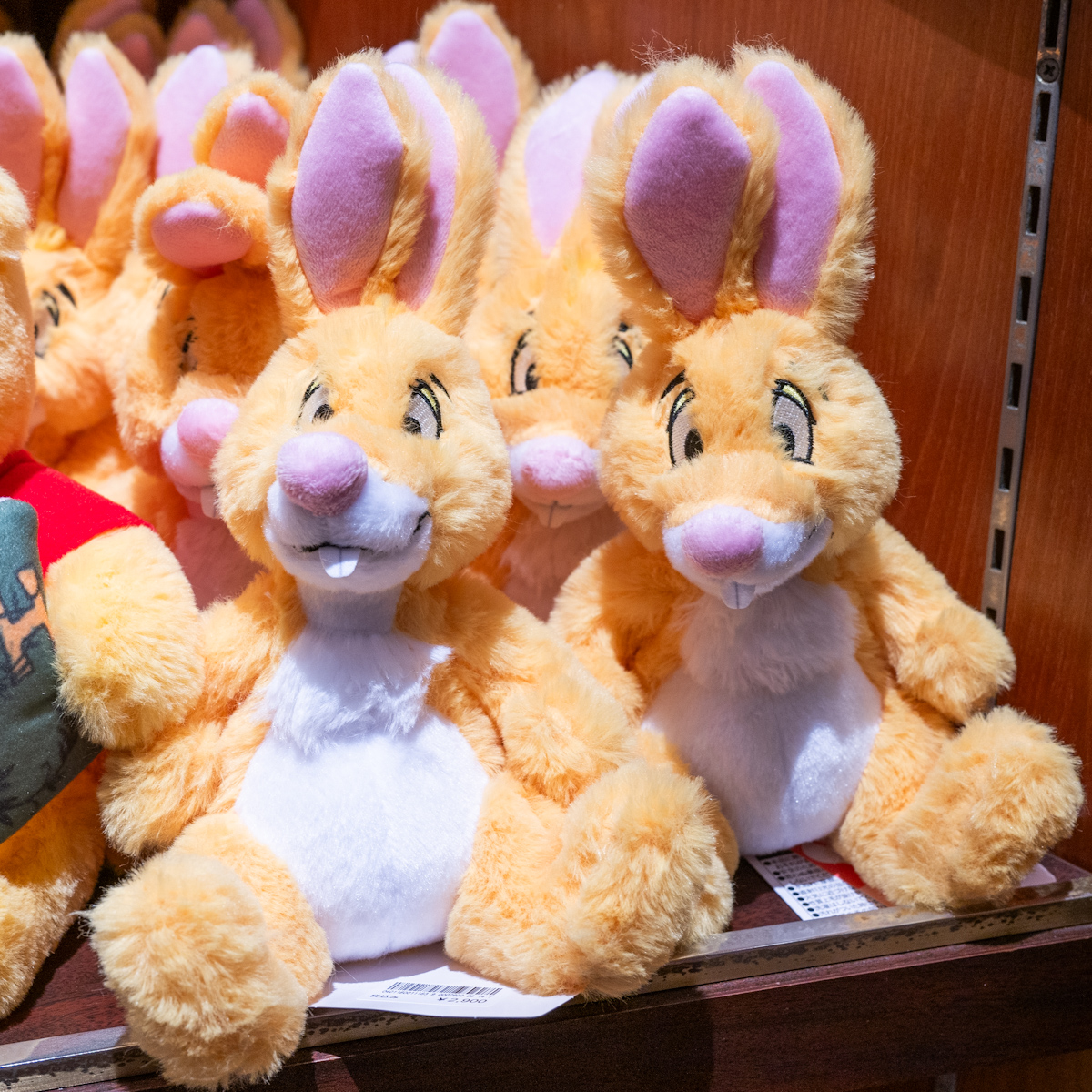 100エーカーの森の仲間たちが勢揃い！東京ディズニーランド「くまの