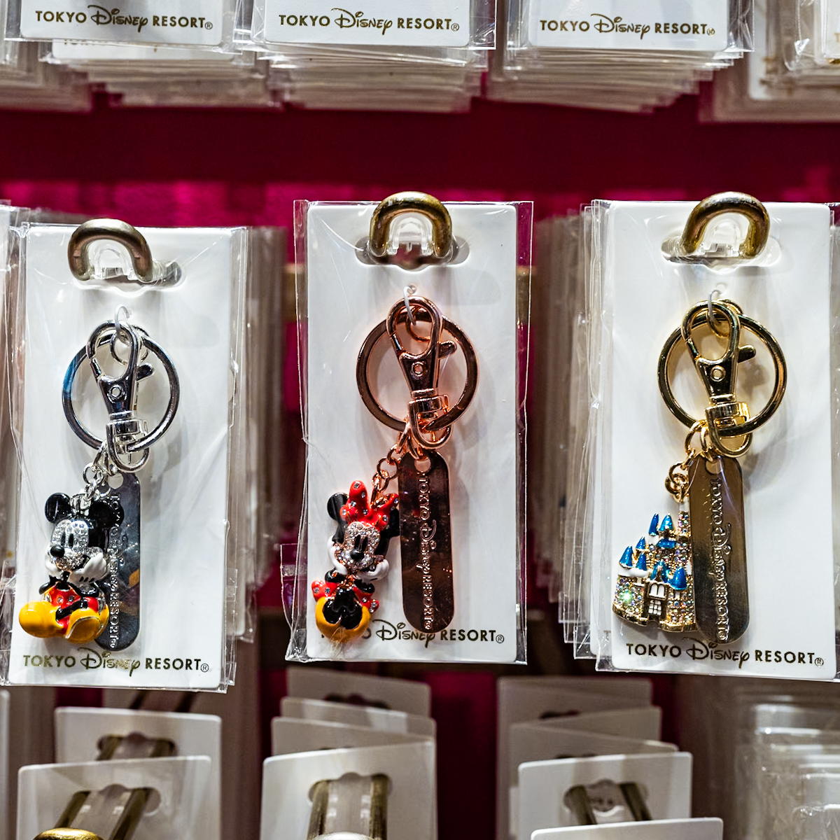 ミッキー、ミニー、シンデレラ城！東京ディズニーランド「ガラスの靴