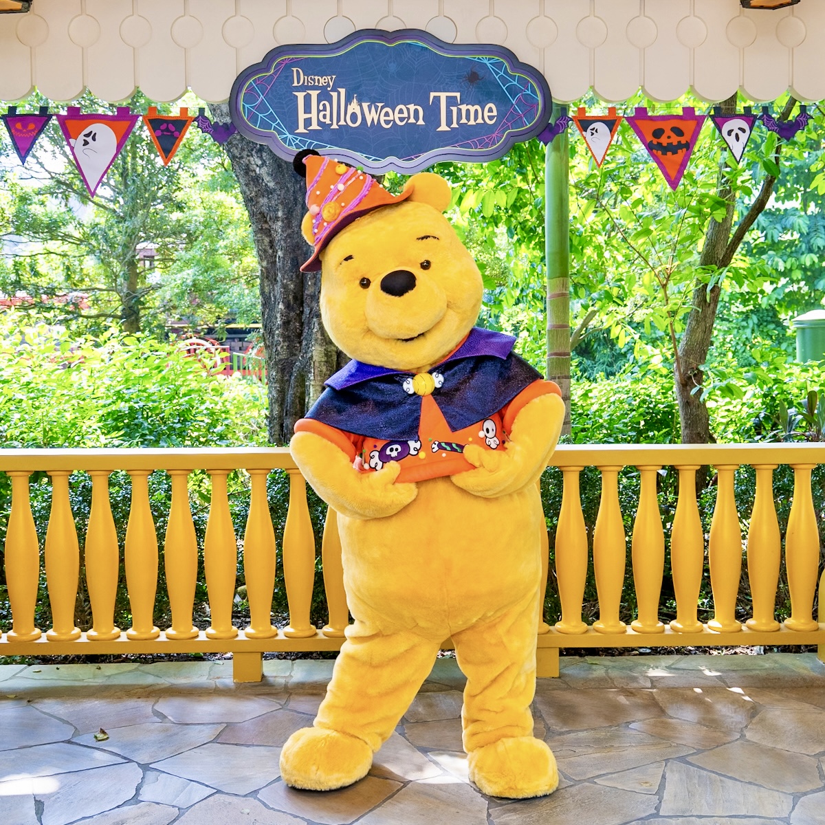 プーさん、ティガー、イーヨー！香港ディズニーランド「ファンタジー