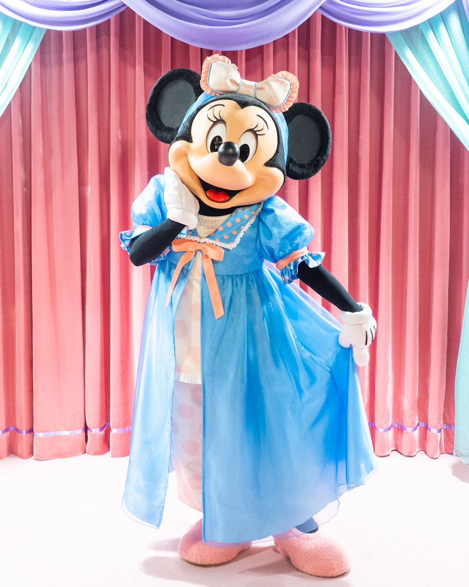 ぬいぐるみ＆ルームウェア！東京ディズニーランド 