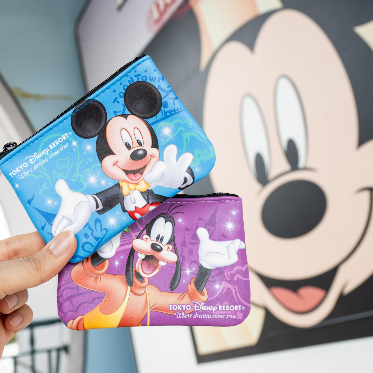 全6種！東京ディズニーリゾート パークチケットデザインポーチ -