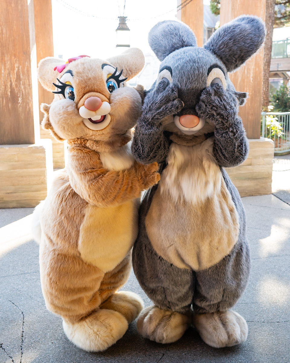かわいいとんすけとミス・バニー！東京ディズニーシー「ケープコッド