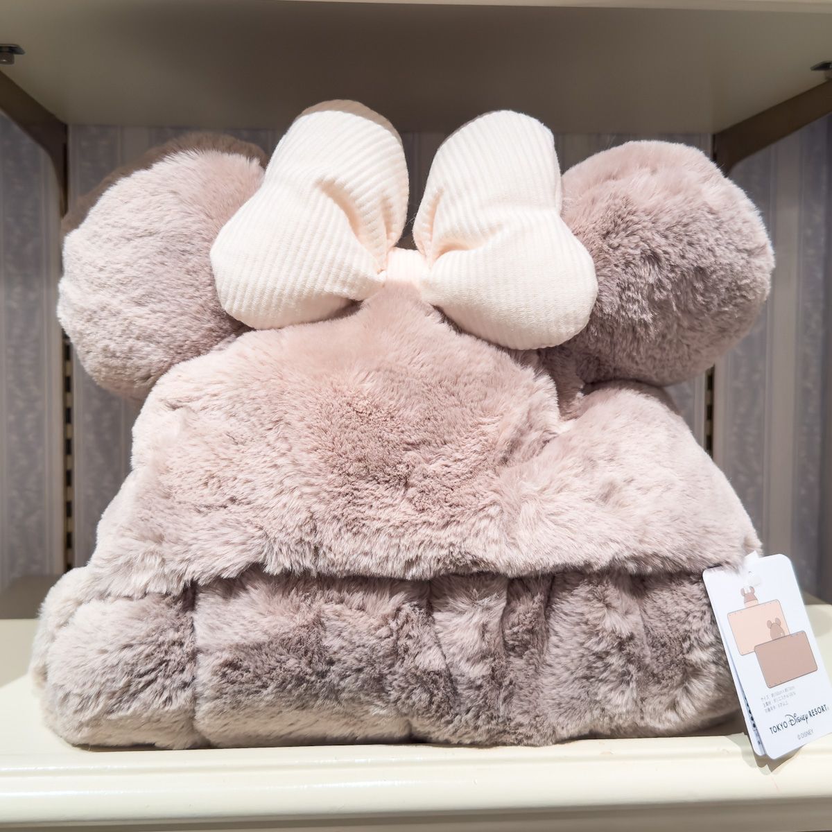 かわいく防寒！東京ディズニーランド2023秋冬フード付きブランケット