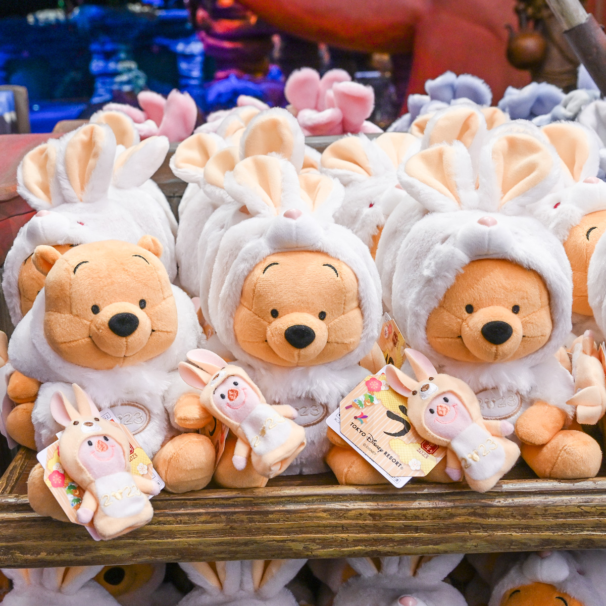 干支のうさぎになりきり！