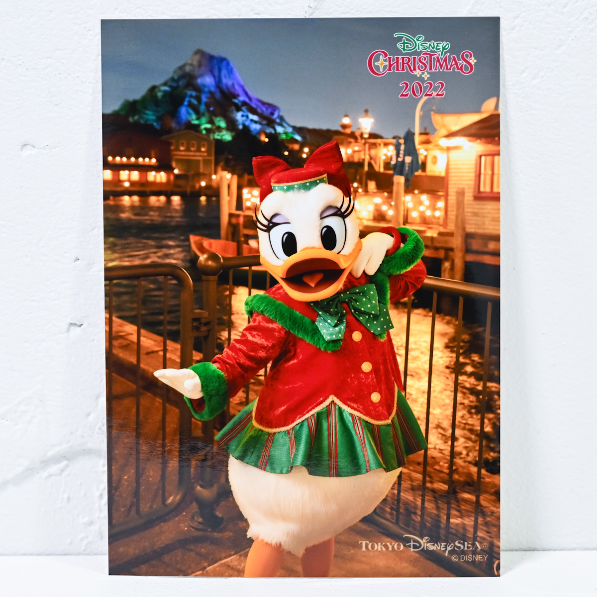 パーフェクト・クリスマス』コスチューム！東京ディズニーシー