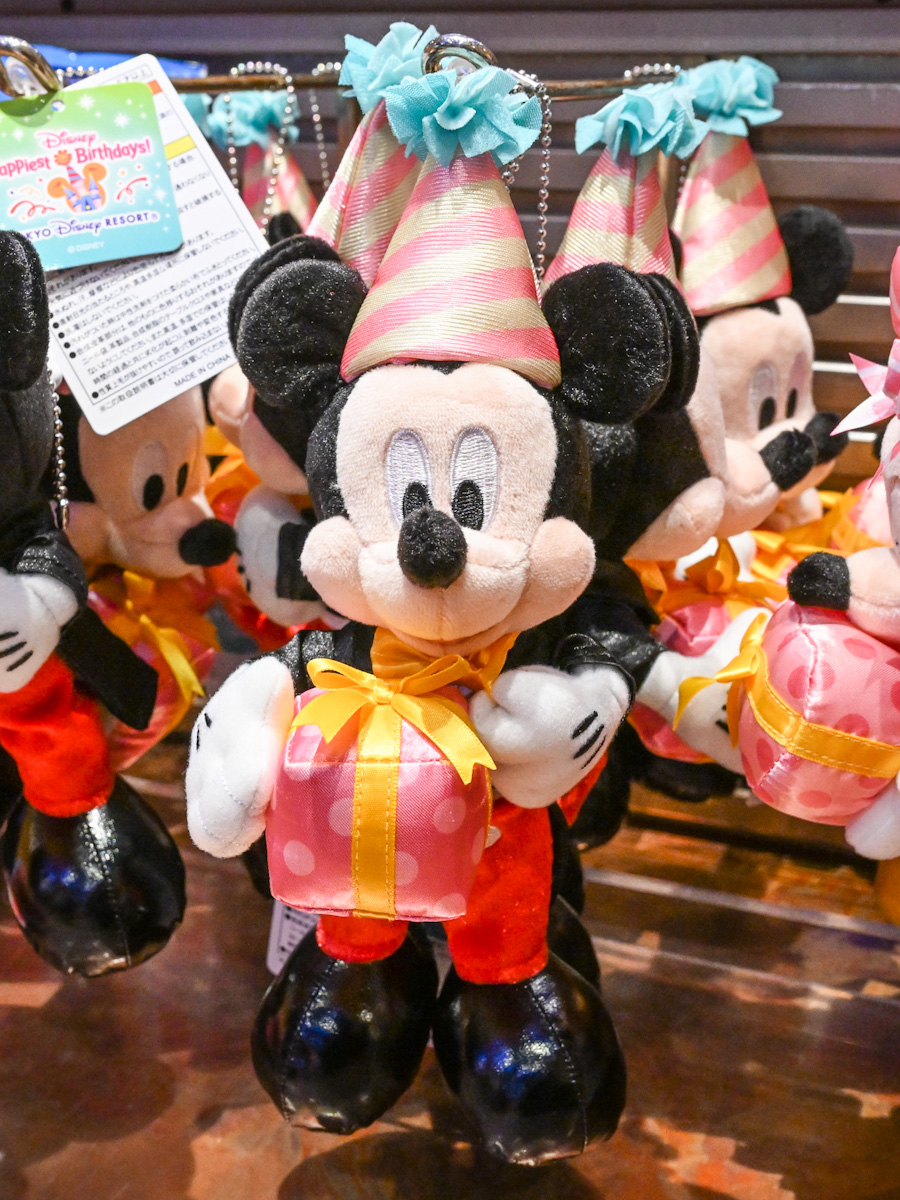 ミッキー＆ミニーとお誕生日をお祝い！東京ディズニーランド｢MY