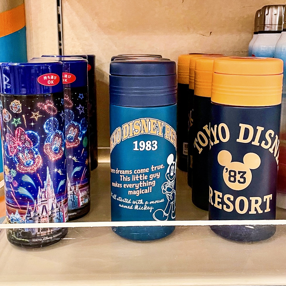 ミッキーマウスデザイン！東京ディズニーランド ステンレスボトル -