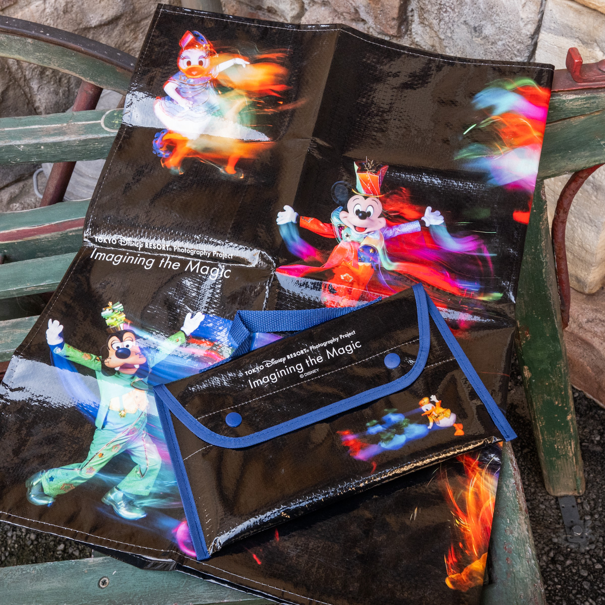 奥山由之さん撮り下ろし！東京ディズニーリゾート・フォトグラフィー