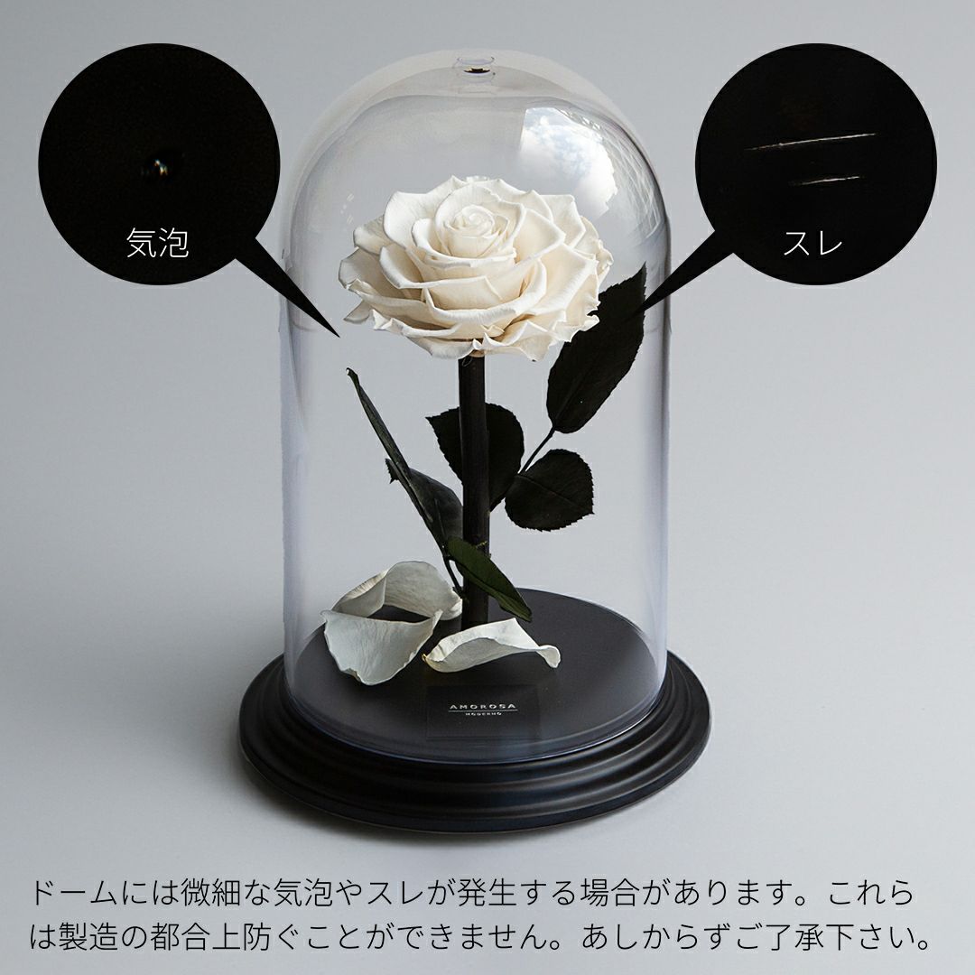 デスティニーローズ(1本立ち)/プラチナホワイト （プリザーブド