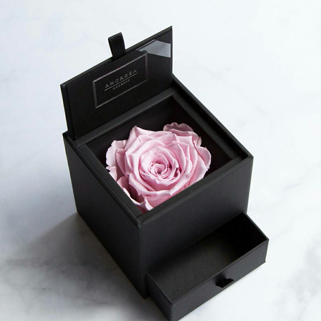 ピンク系 | 最高級プリザーブドフラワーのギフト通販ならAMOROSA