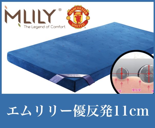 エムリリーのサイズ(横幅/縦の長さ/厚さ)の大きさ - みんかつ