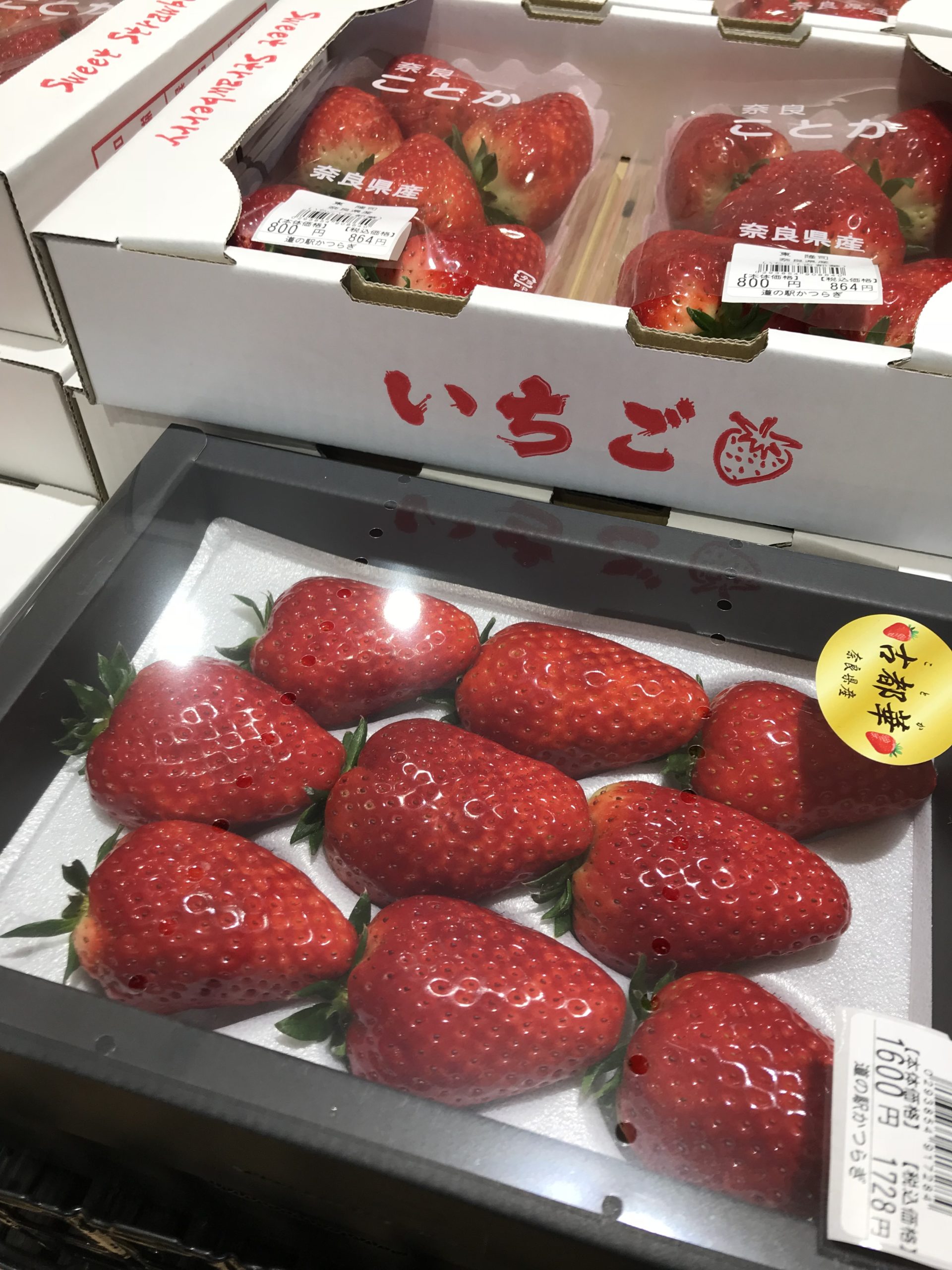 2024年1月のおすすめ | 奈良県葛城市 道の駅かつらぎ