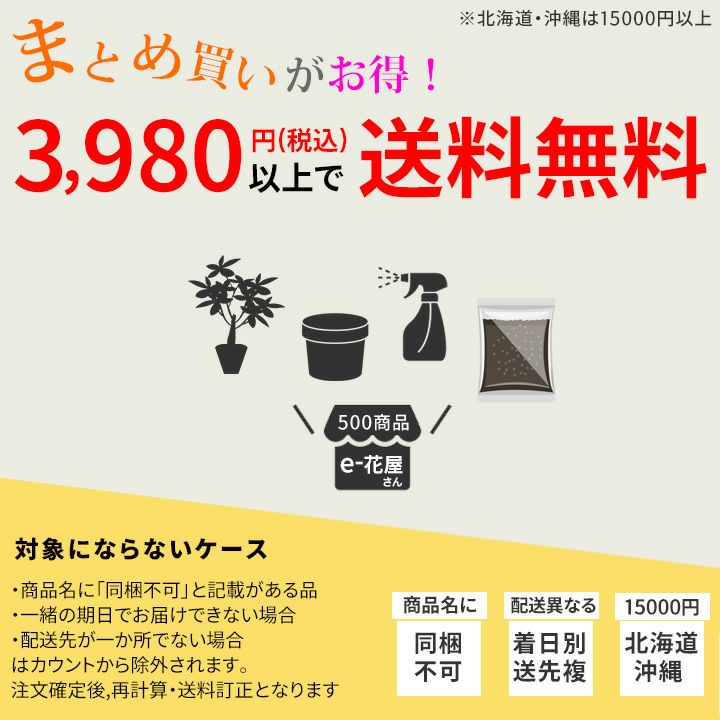 鉢底石と鉢底ネットのSET｜植木鉢の底にON、排水性が向上！