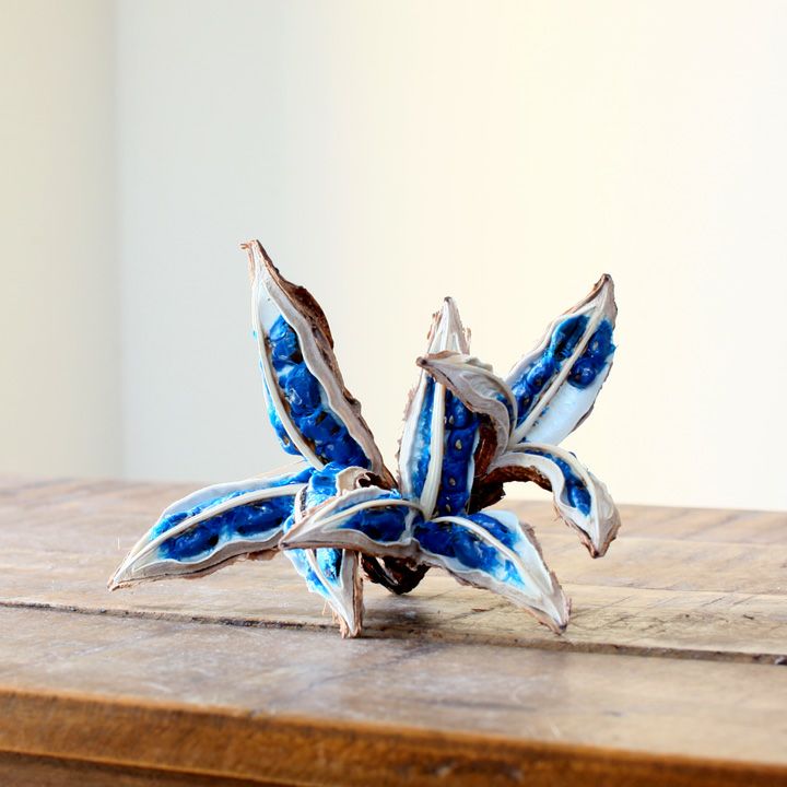 旅人の木の種（タビビトノキの実）日本産ブルーオブジェ｜e-花屋