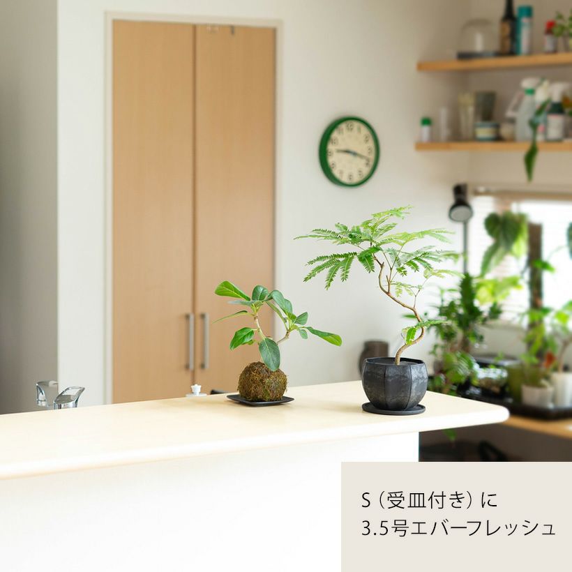 軽くて丈夫セルローズファイバー植木鉢マットな質感｜ハンギング可能