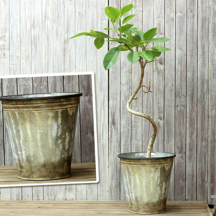 アンティーク風、植木鉢カバー（ブリキ）｜8号鉢向け：e-花屋さん