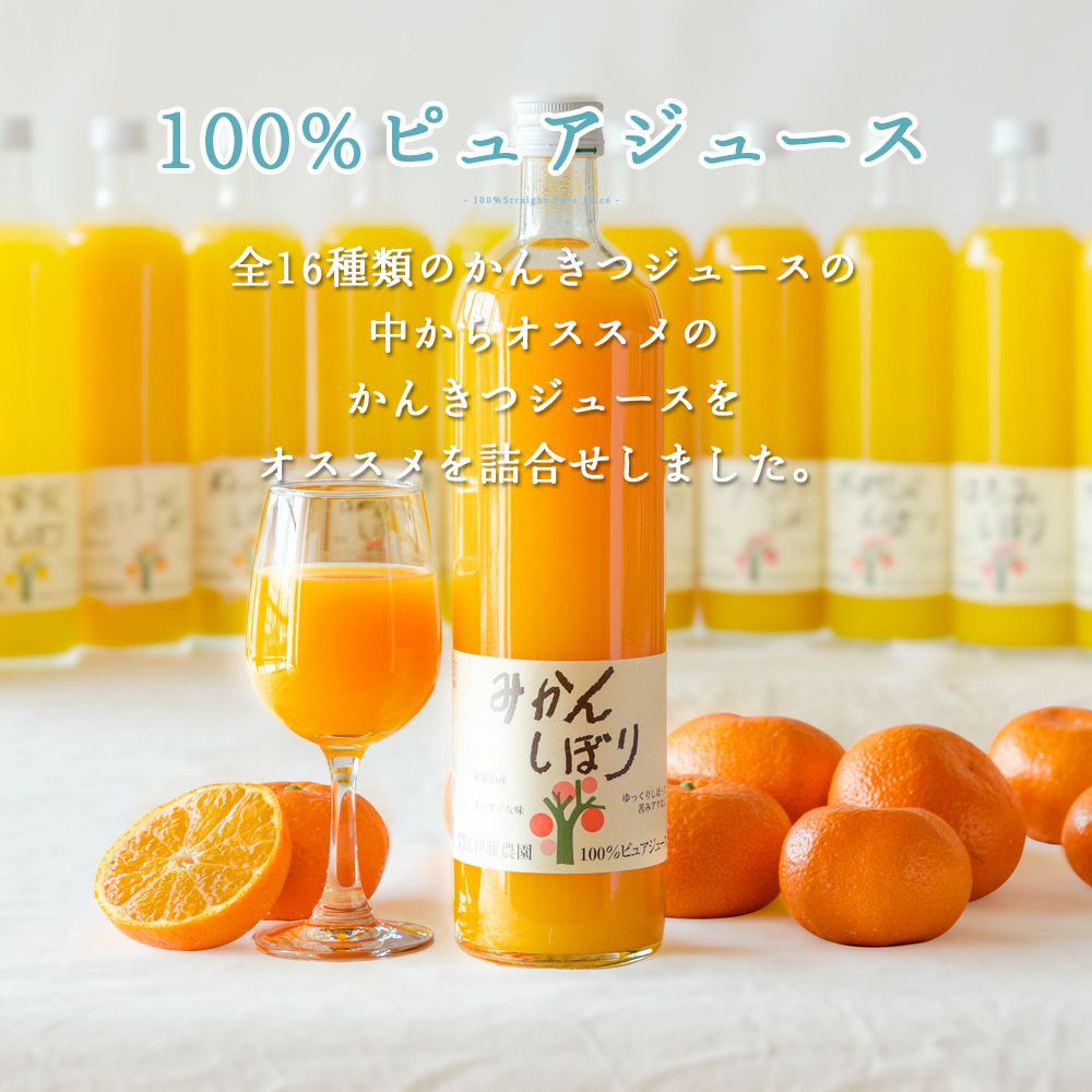 ホワイトデイ早期特典P5倍～3/2まで】バラエティセットV-073 (みかん