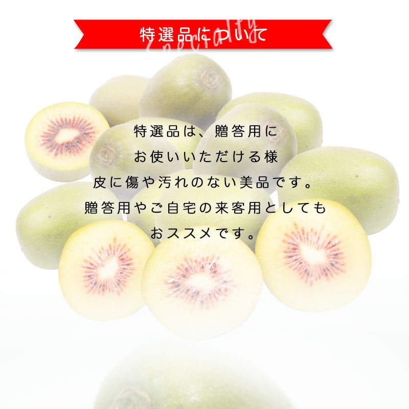 冬ギフト特集商品】【9月中旬以降 順次発送】【数量限定】特選キウイ