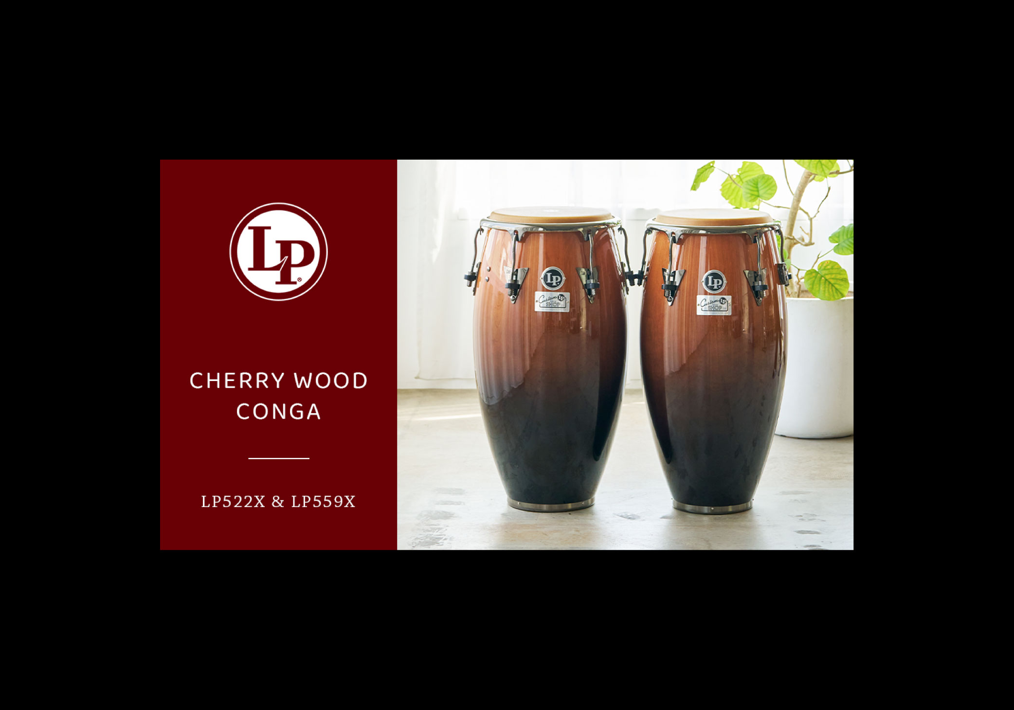 老舗パーカッションブランド「LP」の特別仕様CHERRY WOODコンガセット