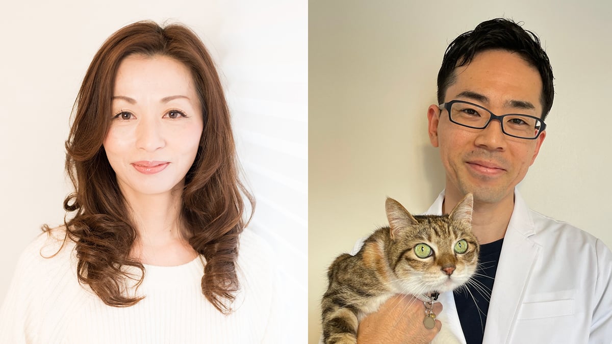 相談相手が見つからない…」を解決！中企庁運営の“セカマチ”に… | 中小