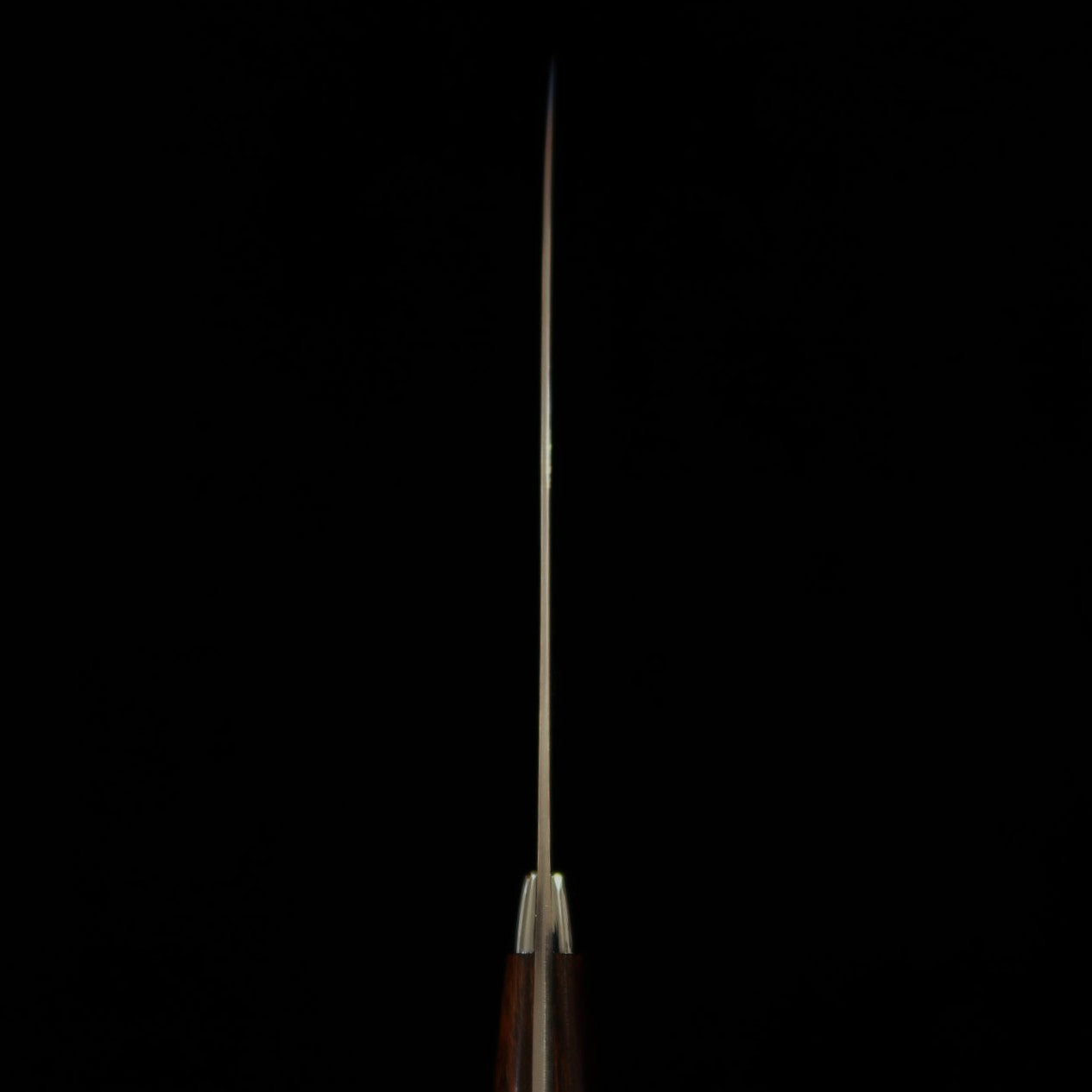 佐治武士SAJI TAKESHI 青紙二号 レインボー ダマスカス ペティ