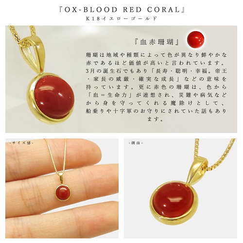 K18 イエローゴールド 天然 血赤珊瑚 一粒 ネックレス | 【美輪宝石