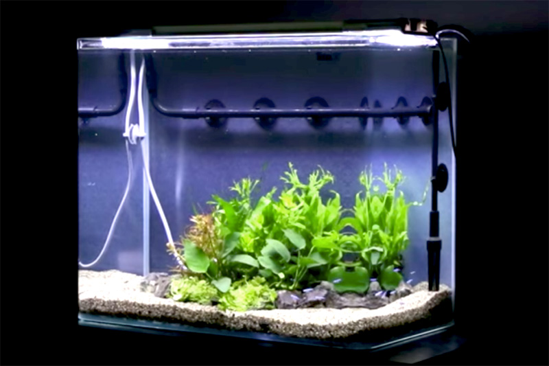 水槽レイアウトレシピ13｜45cm水槽で風山石を使ったレイアウトをつくる