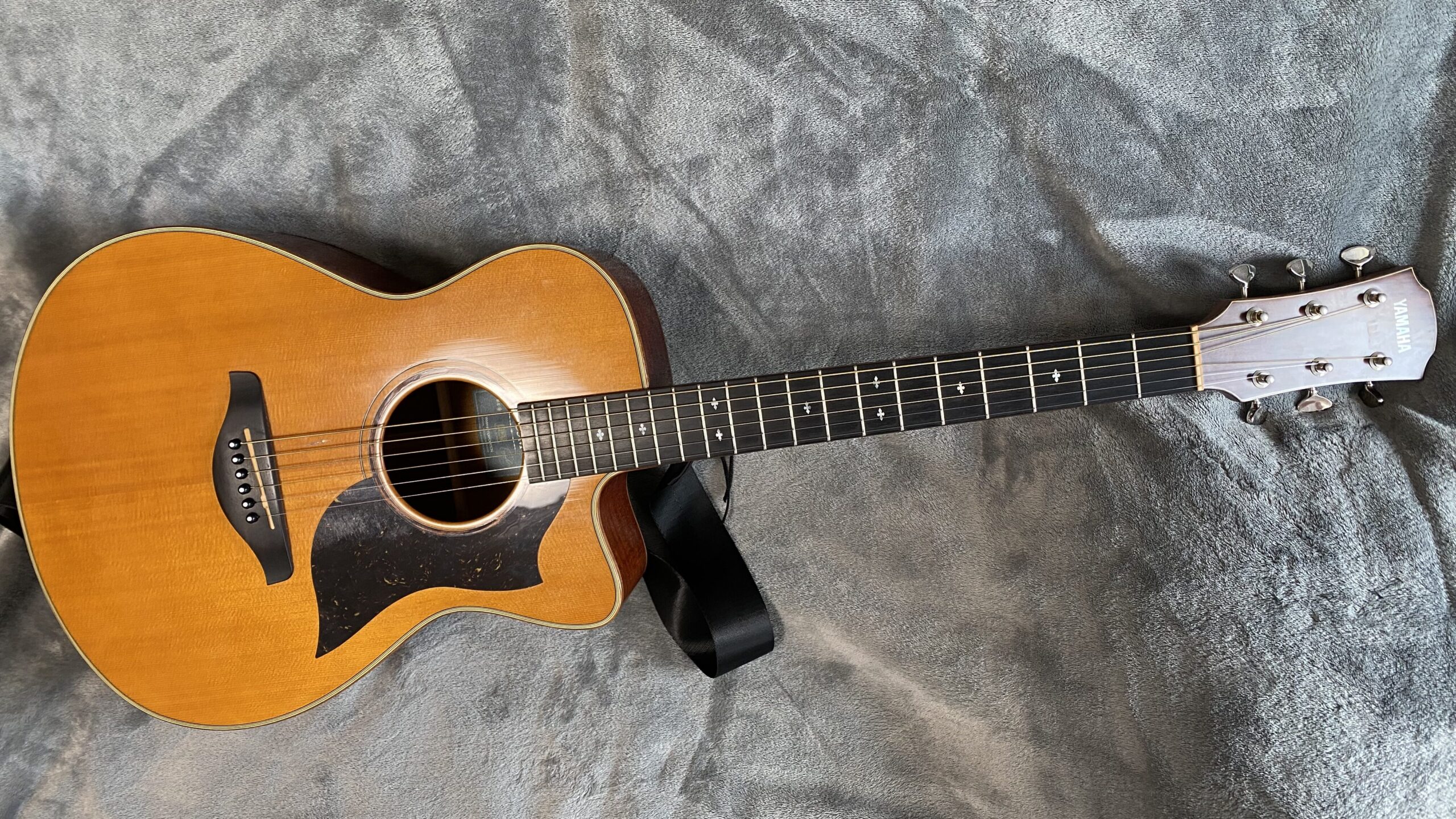 AC5M ARE」 YAMAHAの高品質なエレアコ！ （レビュー・機材紹介