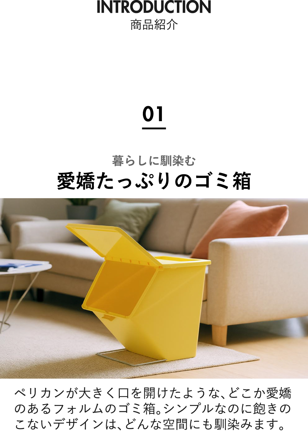 stacksto, pelican garbee スタックストー ペリカン ガービー 38L