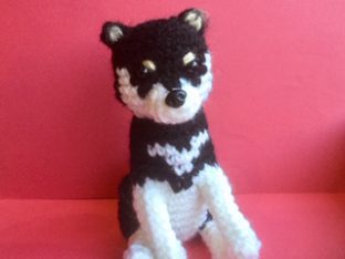 柴犬まつり」開催します♪ | もんぱぴ Monpuppy Studio 犬と家族の