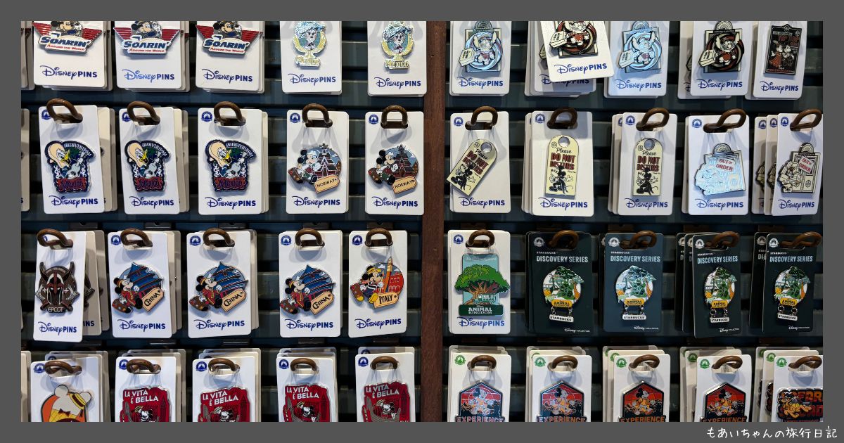 フロリダディズニー】WDWのピントレーディングとは？公式ピンの見分け