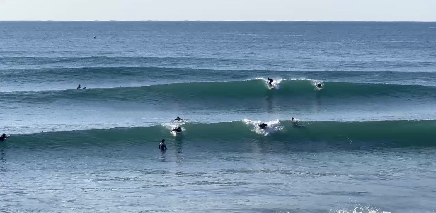 2025-26おすすめ記事 | MOANA COASTAL SERVICE