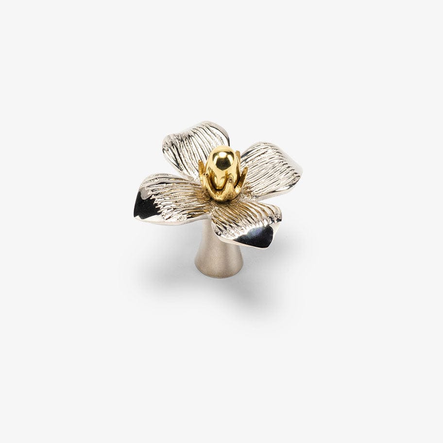 Dogwood Brass Knob | Floral Design | Modern Matter